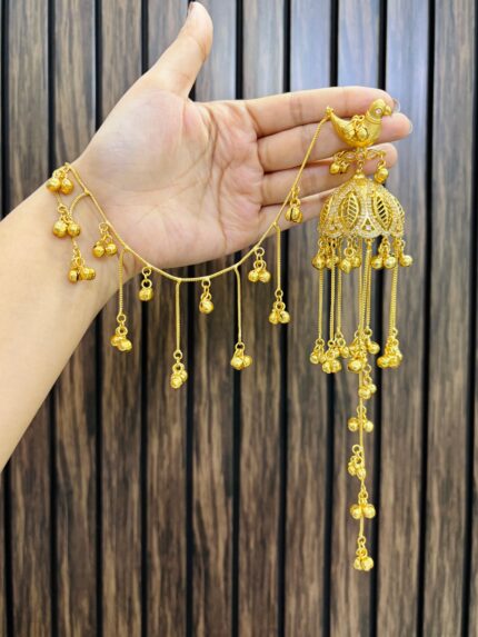 Peacock kashmiri earrings